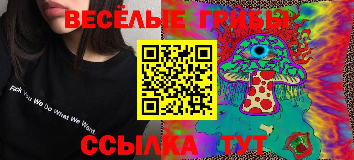Мытищи  Псилоцибиновые грибы Psilocybine cubensis  Вход с VPN 